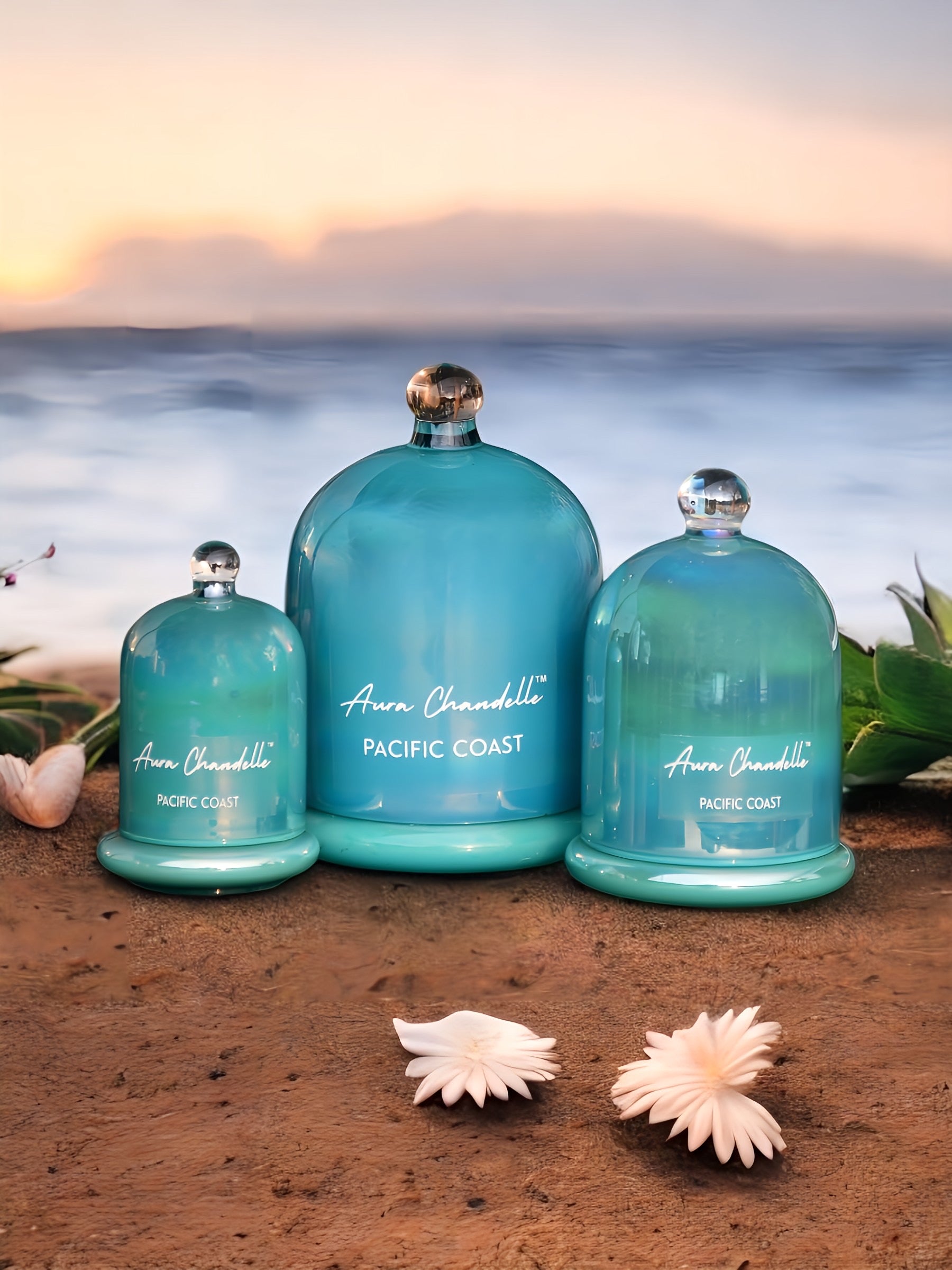 Pacific Coast : Fresh, Breezy & Effortlessly Uplifting